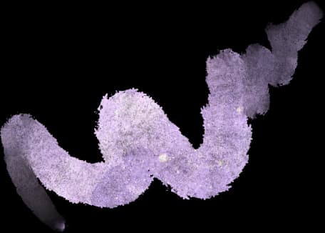 Section 2 Additional Background